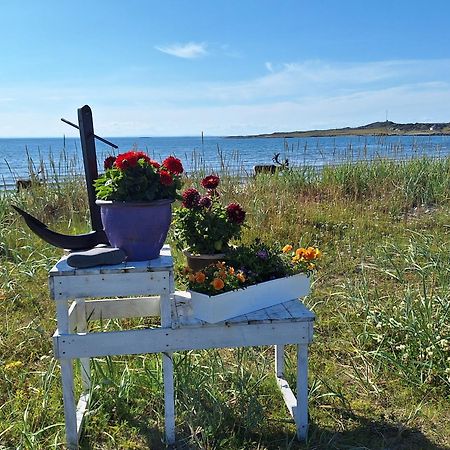 Feriehus Ved Barentshavet - Holiday Home By The Barents Sea Ytre Kiberg Luaran gambar