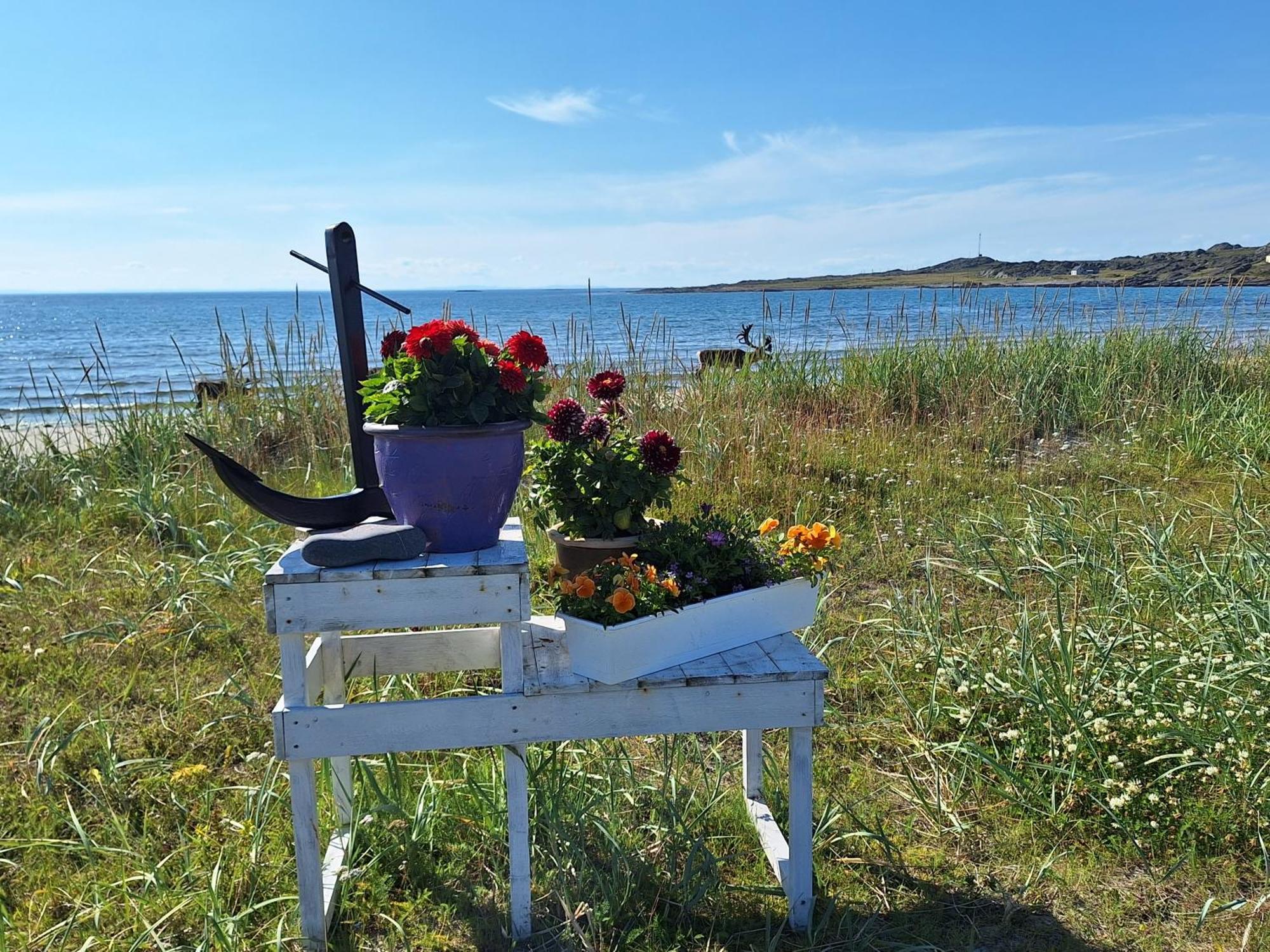Feriehus Ved Barentshavet - Holiday Home By The Barents Sea Ytre Kiberg Luaran gambar